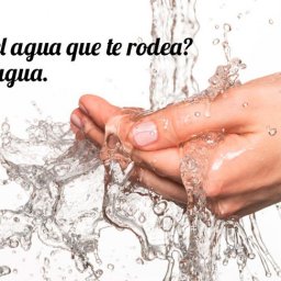Como es el agua que te rodea - La Lavandera