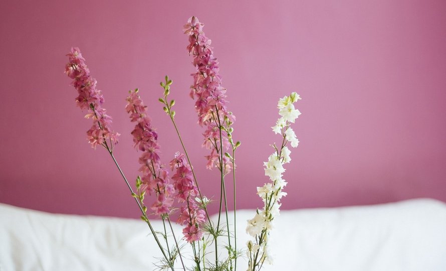 flowers-pink-large