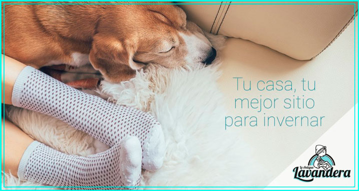¡Viste tu casa de invierno!