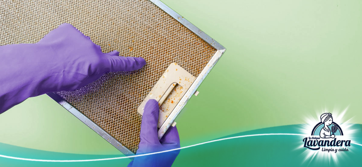 Manos Con Guantes De Color Morado Sosteniendo Un Filtro De Campana Extractora Lleno De Grasa Amarillenta