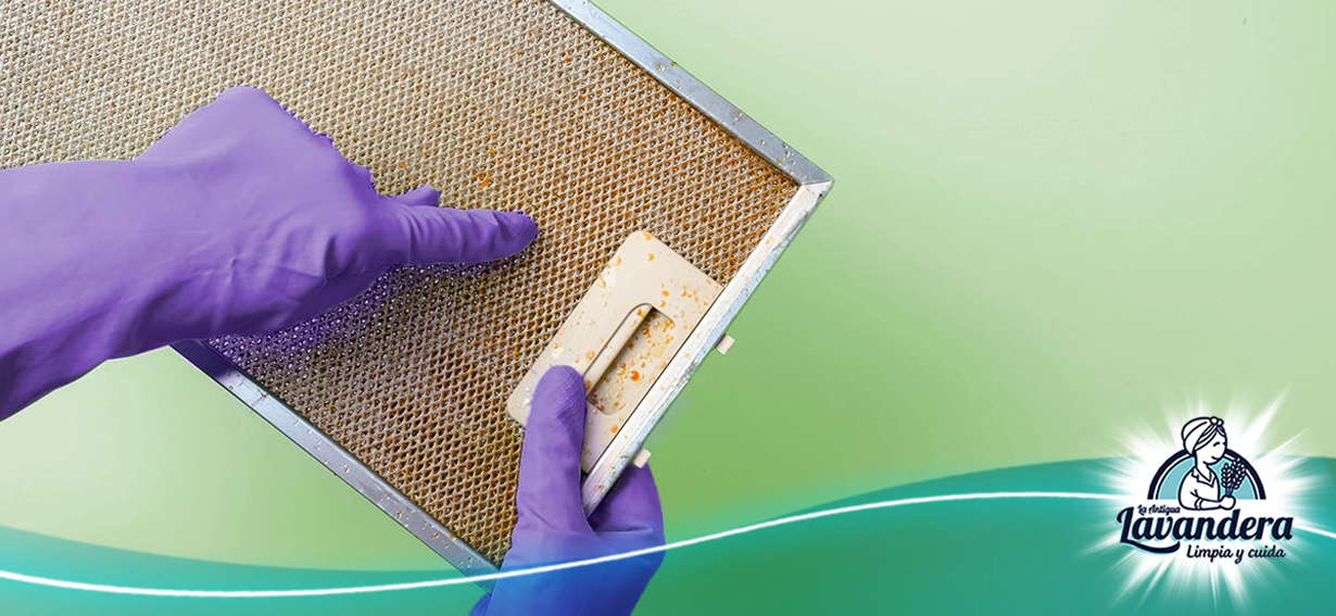 Manos Con Guantes De Color Morado Sosteniendo Un Filtro De Campana Extractora Lleno De Grasa Amarillenta