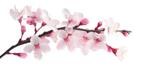 Diseño sin título (29) Diseño sin título (29)